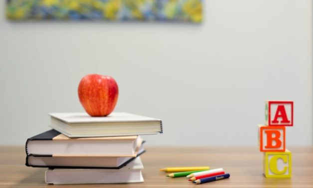 Valorizando a Educação